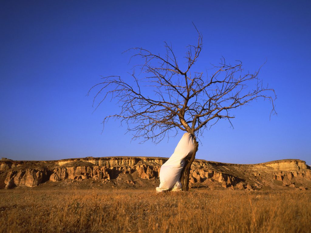 A person wearing white robe standing of a dead tree standing alone in a vast field.